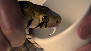 Убийцы Ву 1 сезон 6 серия