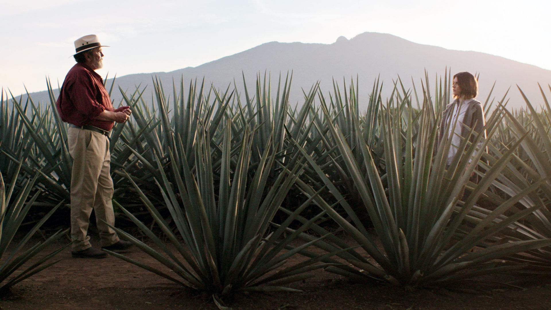 Монархиня 1 серия Монархиня 1 серия