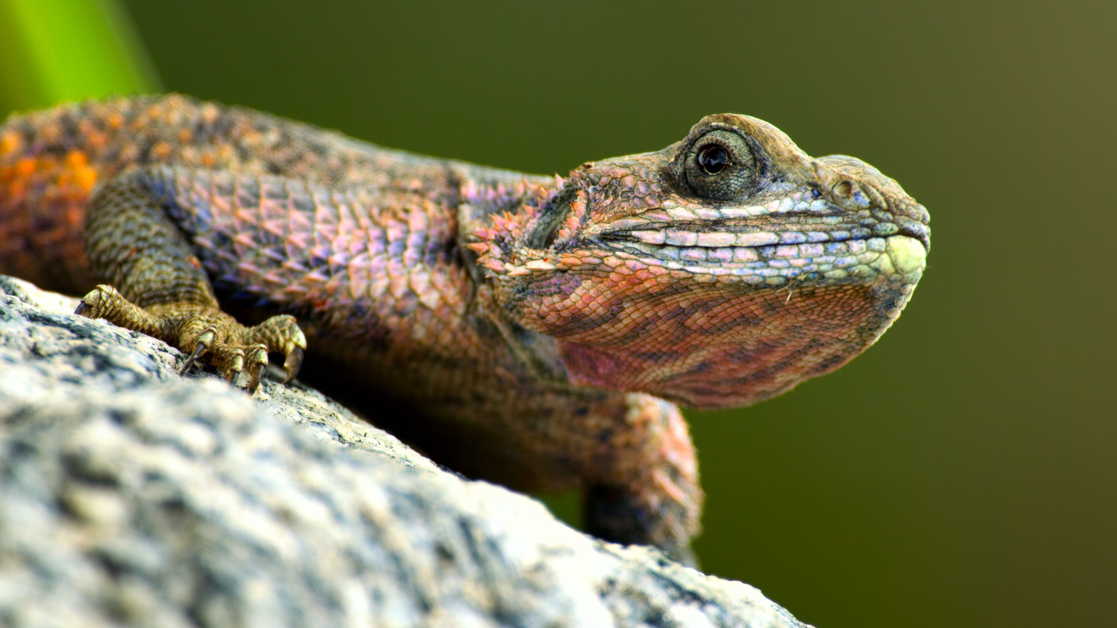 Крошечный мир 1 серия