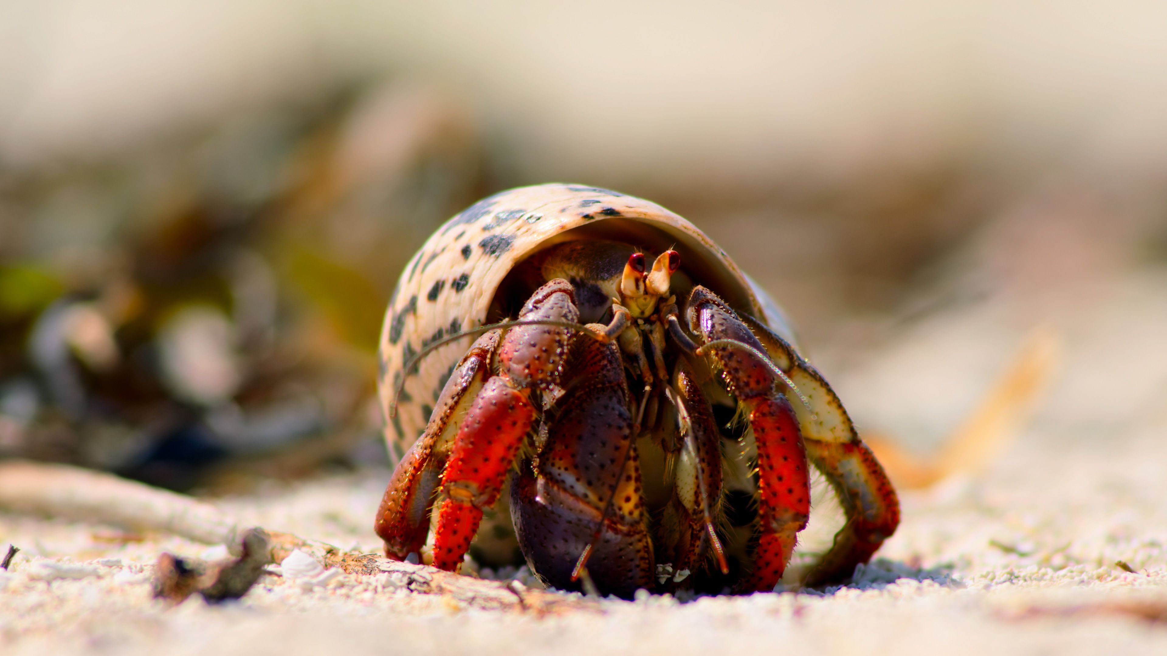 Крошечный мир 3 серия