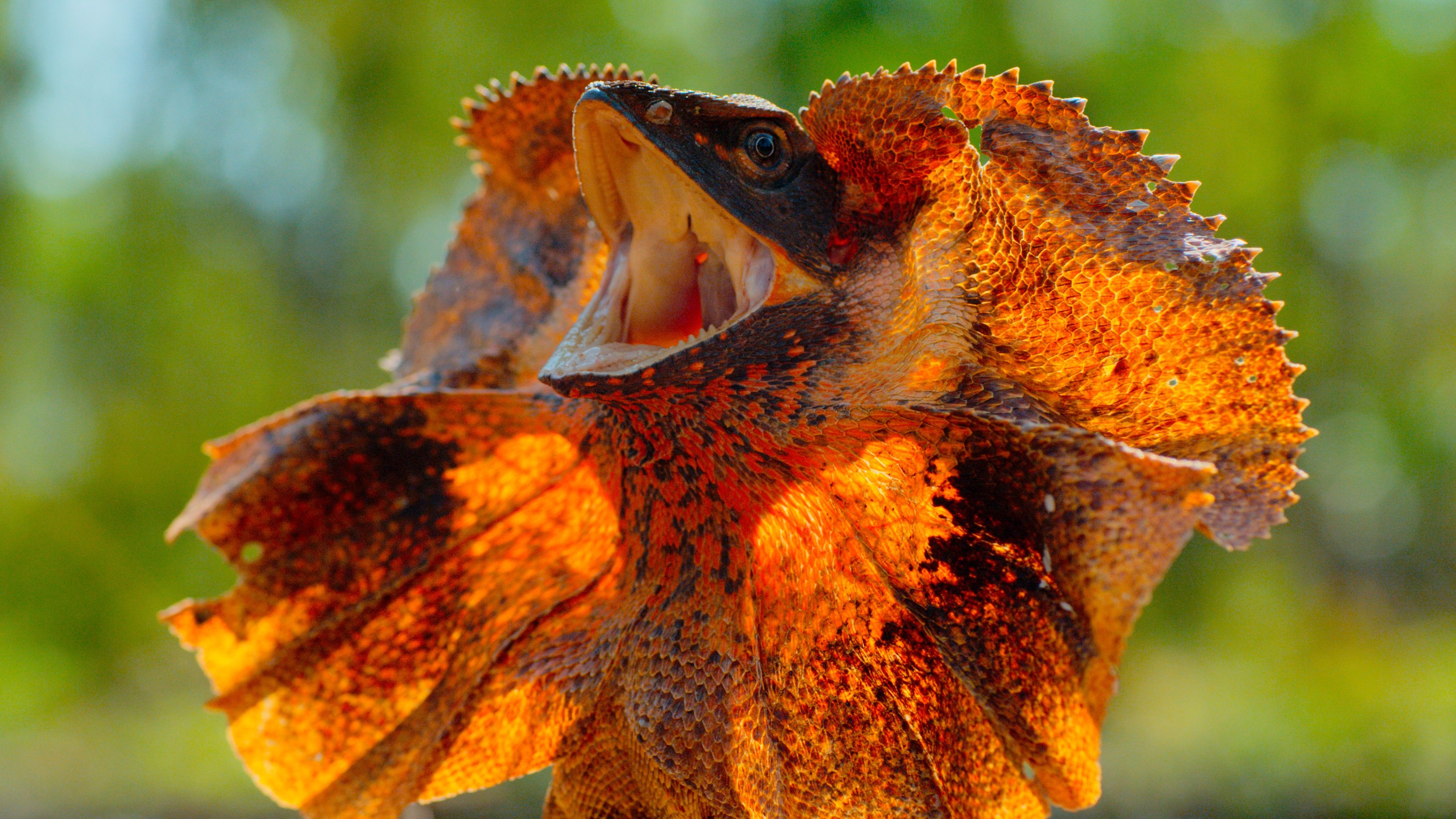 Крошечный мир 4 серия