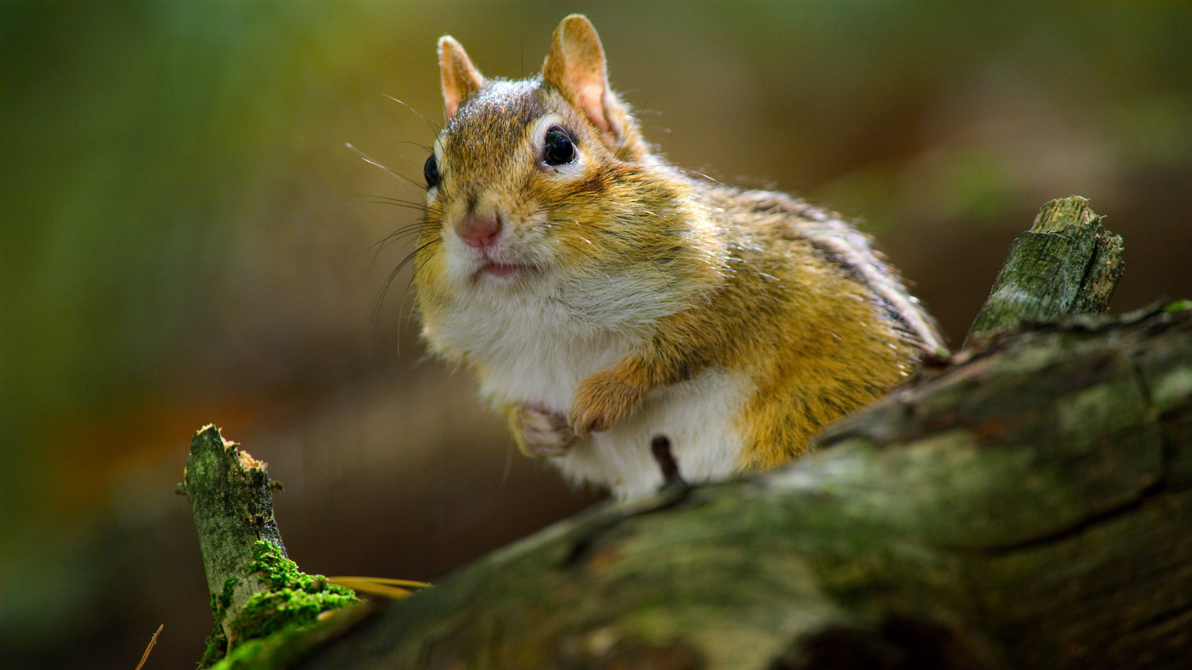 Крошечный мир 5 серия