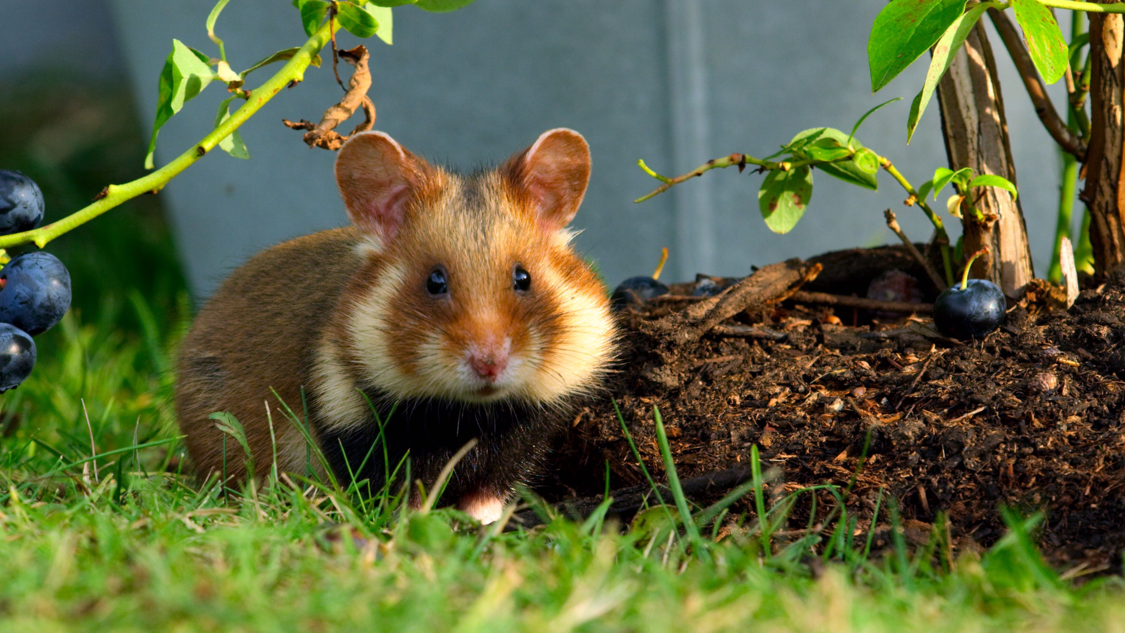 Крошечный мир 6 серия