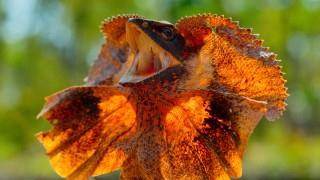 Крошечный мир 1 сезон 4 серия