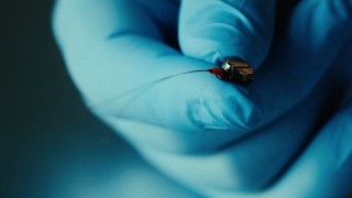 Искусство шпионажа 1 сезон 4 серия