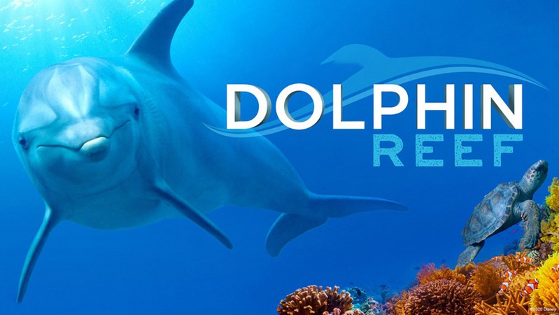 Дельфиний риф