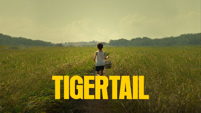 Хвост тигра