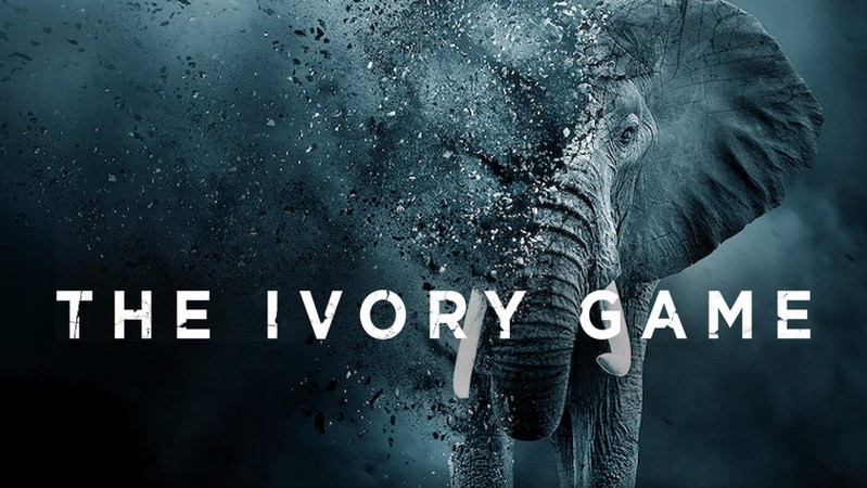 Игра цвета слоновой кости