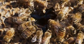 Гнилые 1 серия Гнилые 1 серия