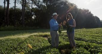 Гнилые 2 серия Гнилые 2 серия