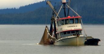 Гнилые 6 серия Гнилые 6 серия