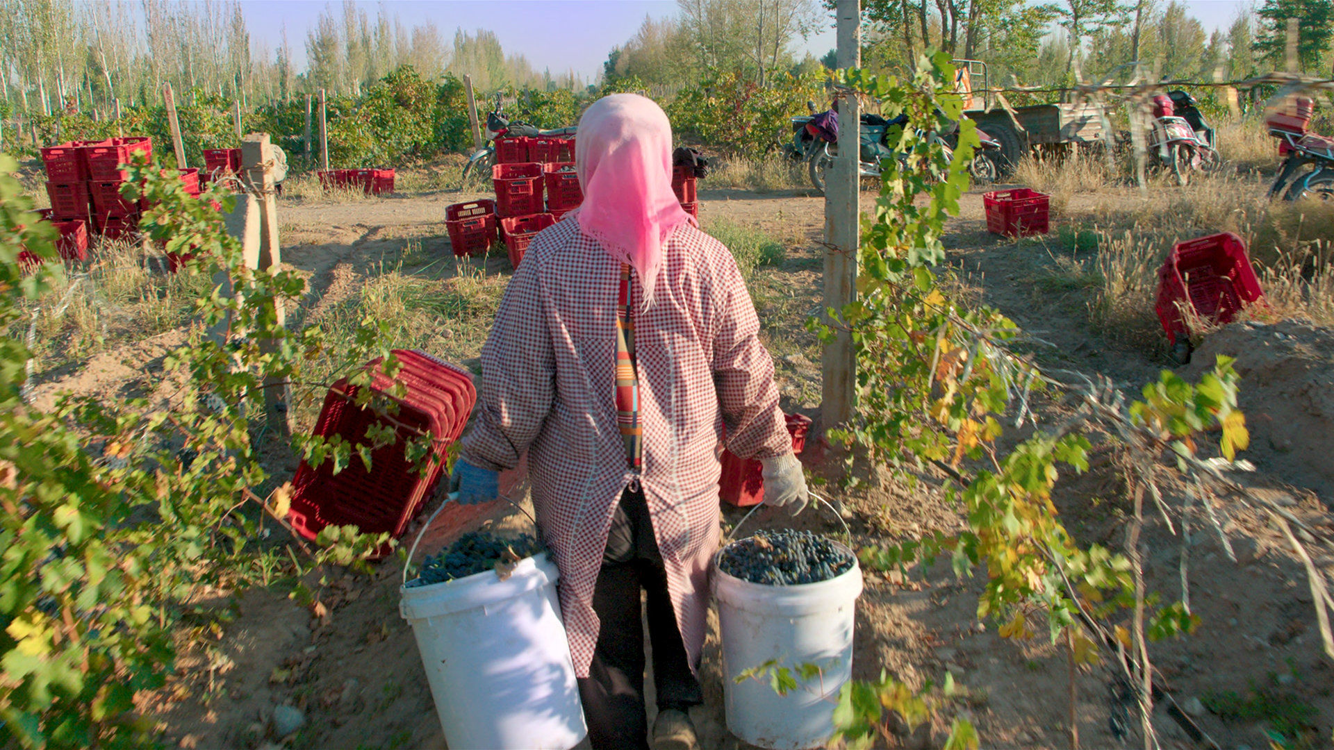 Гнилые 2 сезон 2 серия Гнилые 2 сезон 2 серия