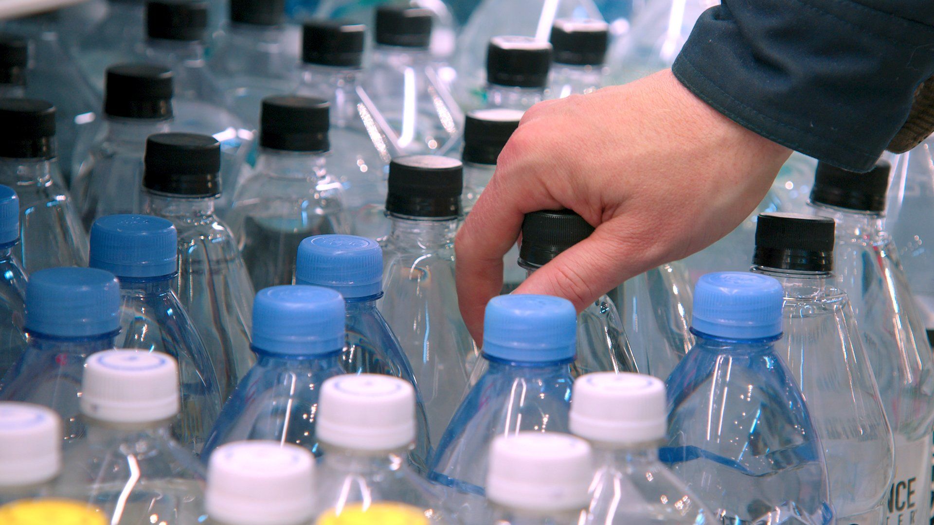 Гнилые 2 сезон 3 серия Гнилые 2 сезон 3 серия