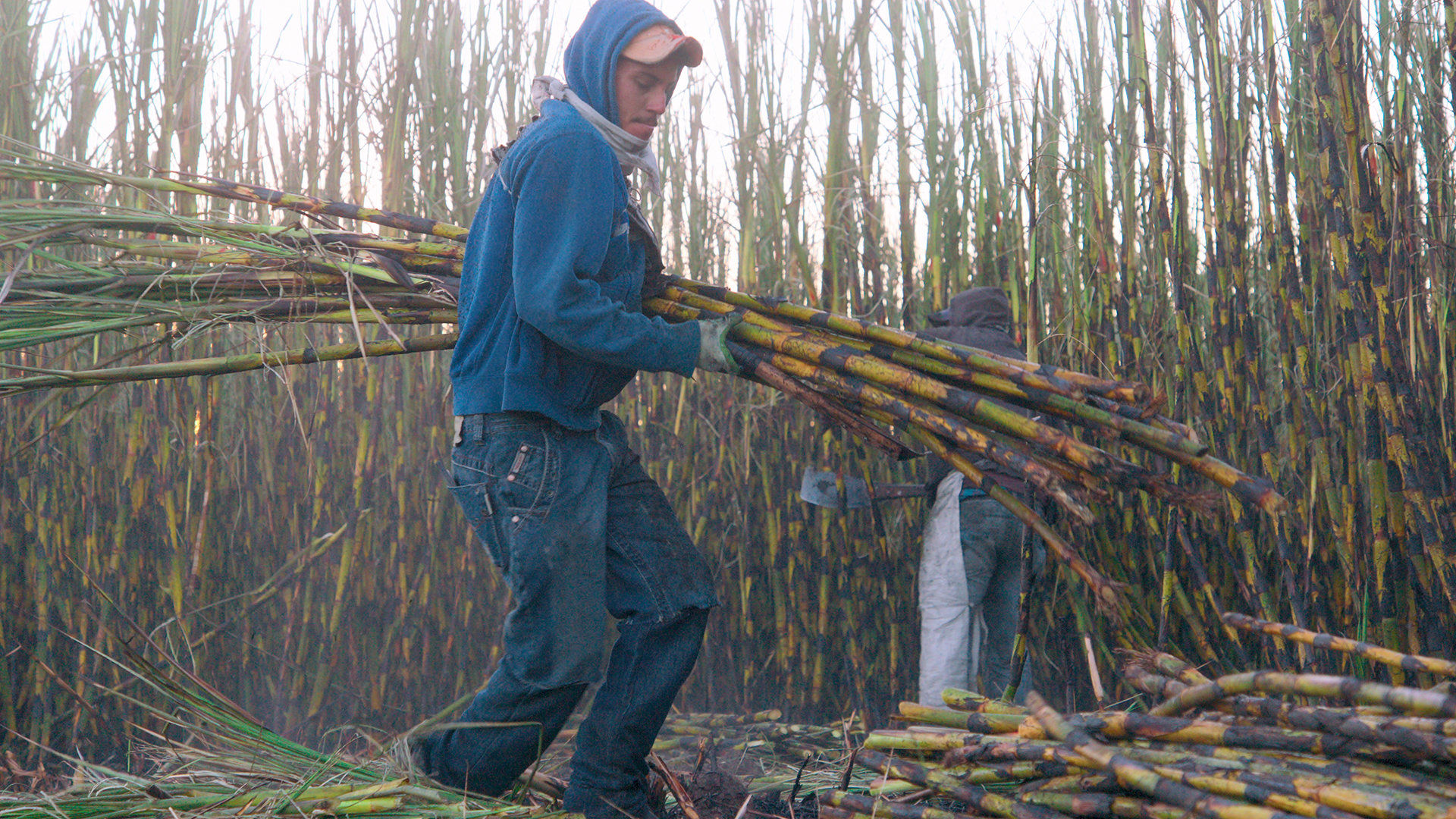 Гнилые 2 сезон 4 серия Гнилые 2 сезон 4 серия