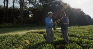 Гнилые 1 сезон 2 серия