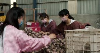 Гнилые 1 сезон 3 серия