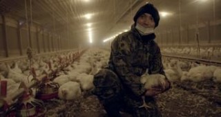 Гнилые 1 сезон 4 серия