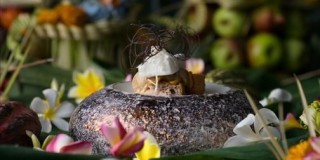 От шефа 4 сезон 4 серия