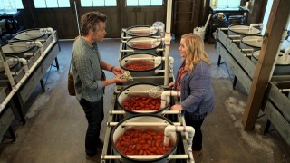 Диета из Санта-Клариты 2 сезон 9 серия