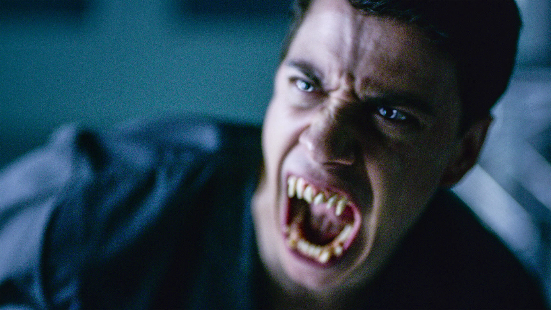 Тайный орден 8 серия