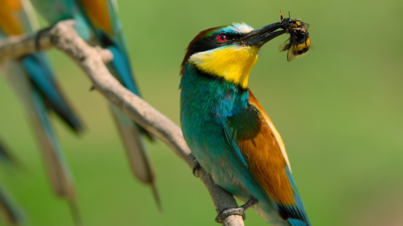 Крошечный мир 2 сезон 1 серия