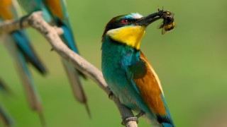 Крошечный мир 2 сезон 1 серия