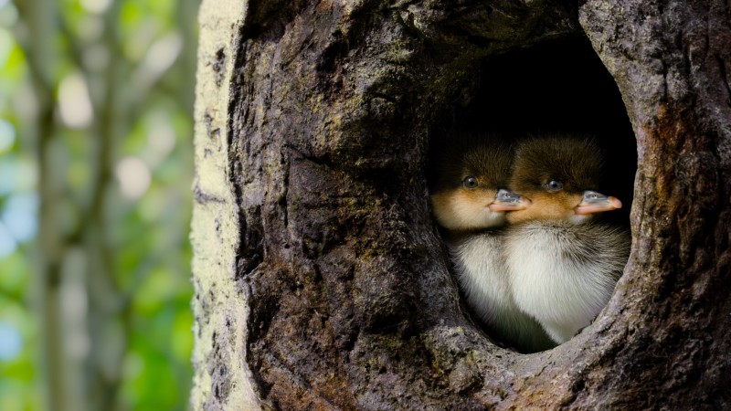 Крошечный мир 2 сезон 3 серия Крошечный мир 2 сезон 3 серия