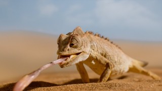 Крошечный мир 2 сезон 6 серия