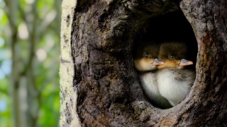 Крошечный мир 2 сезон 3 серия