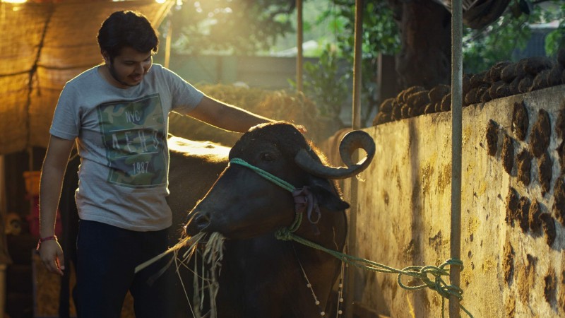 Хостел Дейз 2 сезон 4 серия Хостел Дейз 2 сезон 4 серия