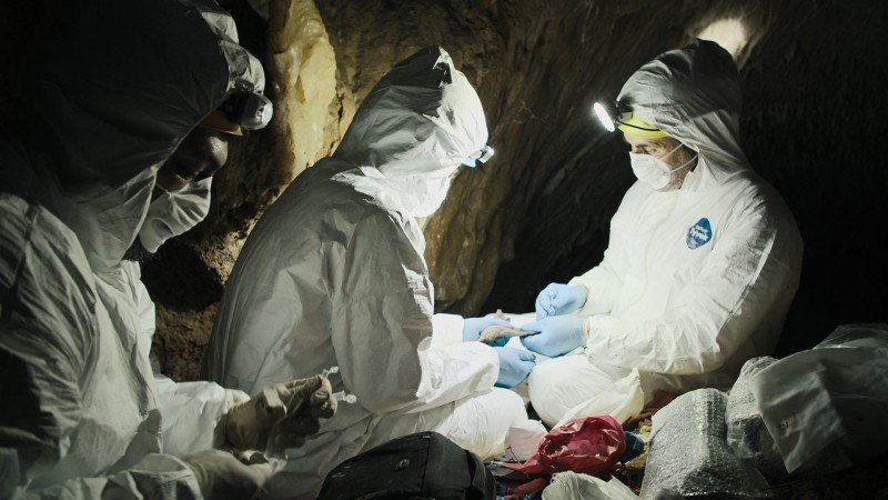 Пандемия: Как предотвратить распространение 3 серия Пандемия: Как предотвратить распространение 3 серия