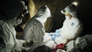 Пандемия: Как предотвратить распространение 1 сезон 3 серия