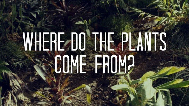 Возвращение домой 4 серия Возвращение домой 4 серия