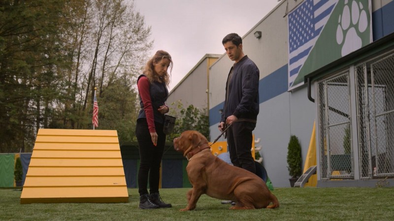 Тёрнер и Хуч 1 серия Тёрнер и Хуч 1 серия