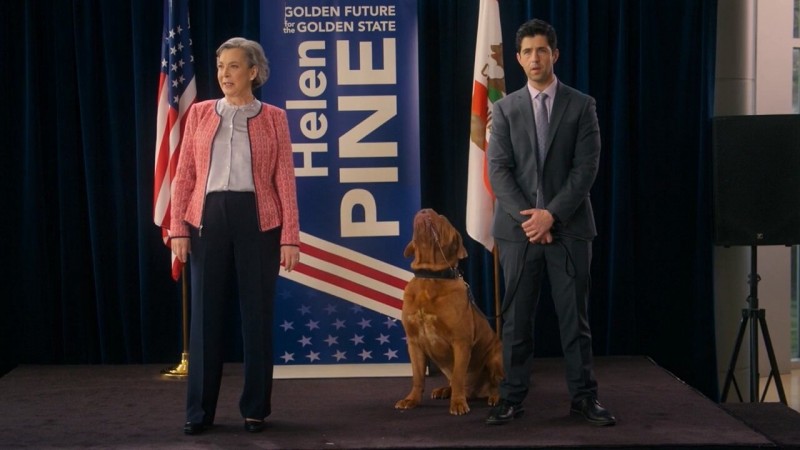 Тёрнер и Хуч 7 серия Тёрнер и Хуч 7 серия