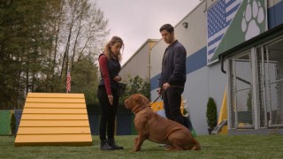 Тёрнер и Хуч 1 сезон 1 серия