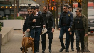 Тёрнер и Хуч 1 сезон 3 серия