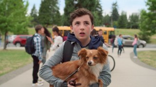 Целебные силы Чувака 1 сезон 1 серия