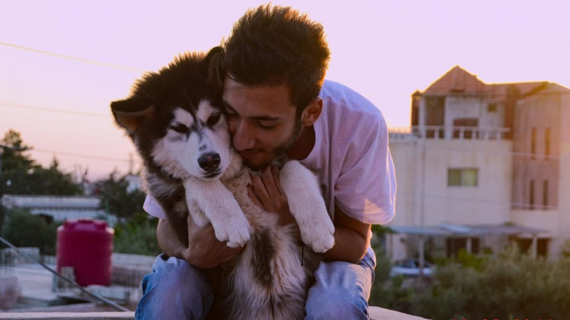 Собаки 2 серия Собаки 2 серия