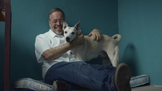 Собаки 2 сезон 4 серия