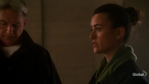 Морская полиция: Спецотдел 5 сезон 11 серия Морская полиция: Спецотдел 5 сезон 11 серия