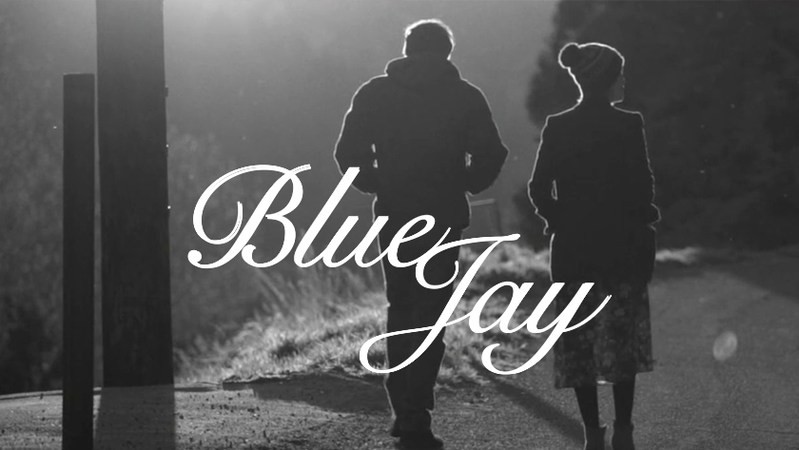 Кафе «Голубая сойка»