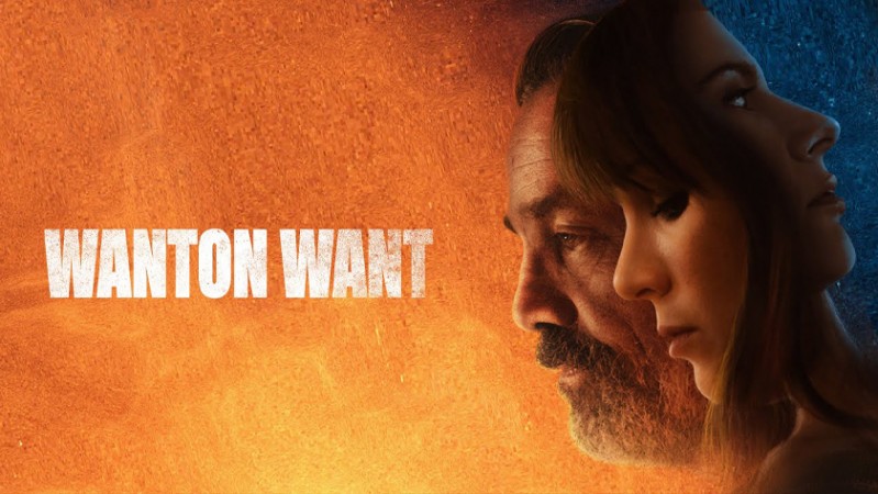 Порочное желание