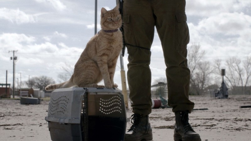 Бойтесь ходячих мертвецов 5 сезон 4 серия