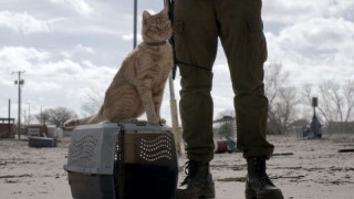 Бойтесь ходячих мертвецов 5 сезон 4 серия