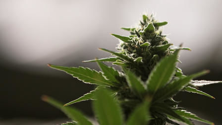 Разъяснения 12 серия