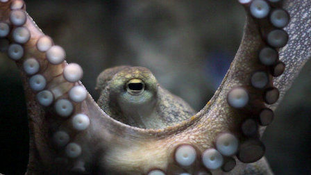 Разъяснения 2 сезон 3 серия Разъяснения 2 сезон 3 серия