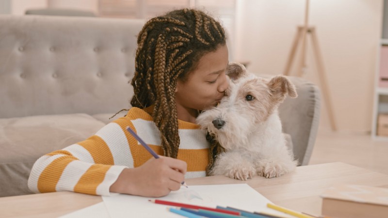 Разъяснения 3 сезон 4 серия Разъяснения 3 сезон 4 серия