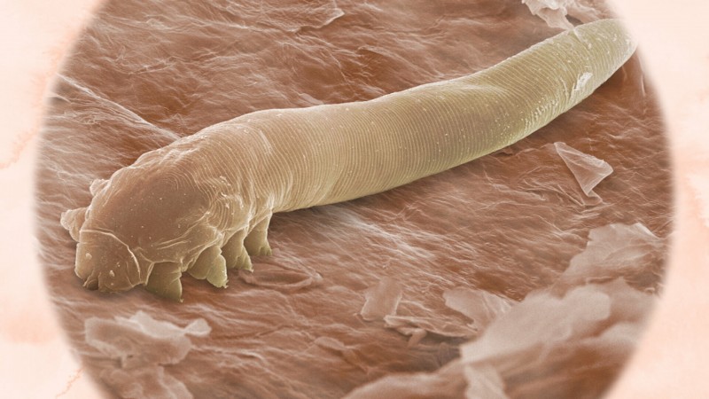 Разъяснения 3 сезон 7 серия Разъяснения 3 сезон 7 серия