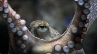 Разъяснения 2 сезон 3 серия